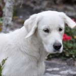 Cheska 10 månader Cheska 10 månader