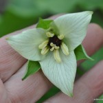 DSC_0050 DSC_0050