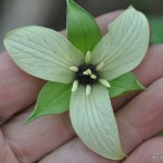 DSC_0051 DSC_0051