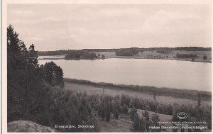 Sköldinge Elvestasjön 001
