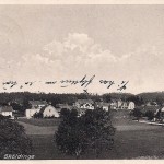 Parti från Sköldinge