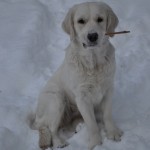 Cheska älskar 22 minusgrader