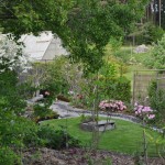 Magnolialunden med växthuset